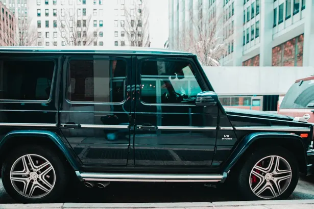 Gambols Casino Application Android/iOS